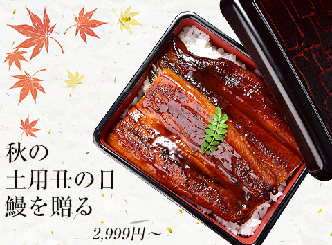鰻