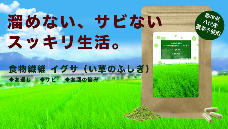 イグサ トップ