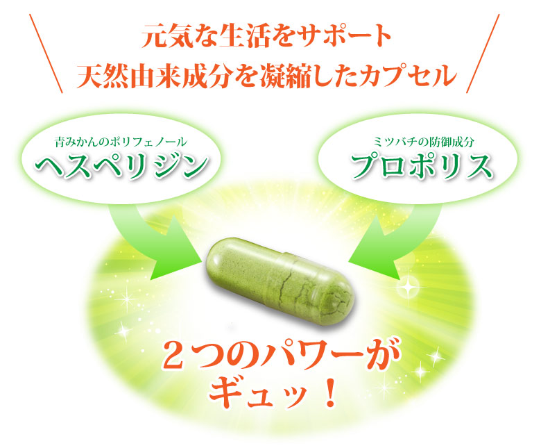 青プロ２