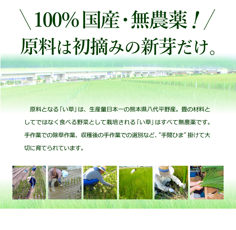 い草２