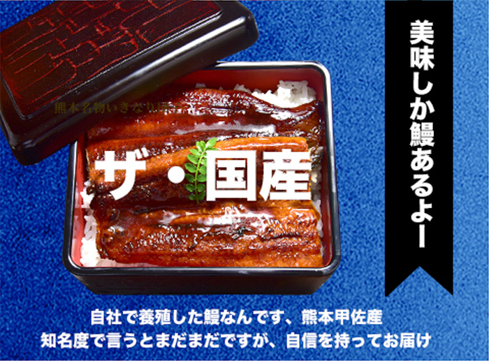 国産うなぎ